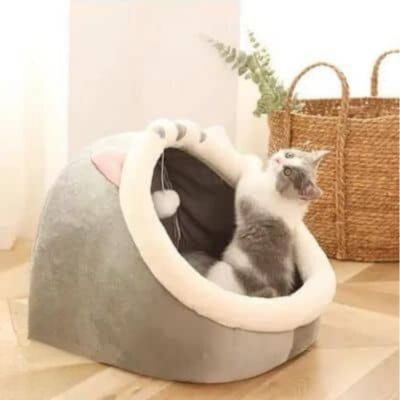 niche pour chat douce