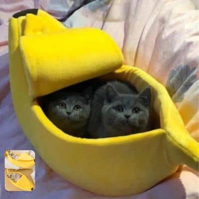 niche pour chat banane  confort