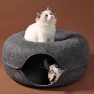 niche-pour-chat-beignet