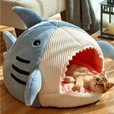 niche-pour-chat-requin-bleu